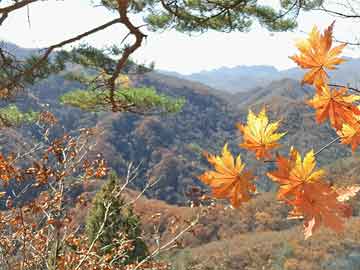 中俄伊三國領(lǐng)導(dǎo)人合影，俄方向中方靠近兩步，三國關(guān)系再掀新篇章